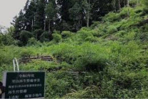 里山再生事業の協力
